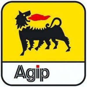 AGIP ENI I-SIGMA MONOGRADE 50 10L